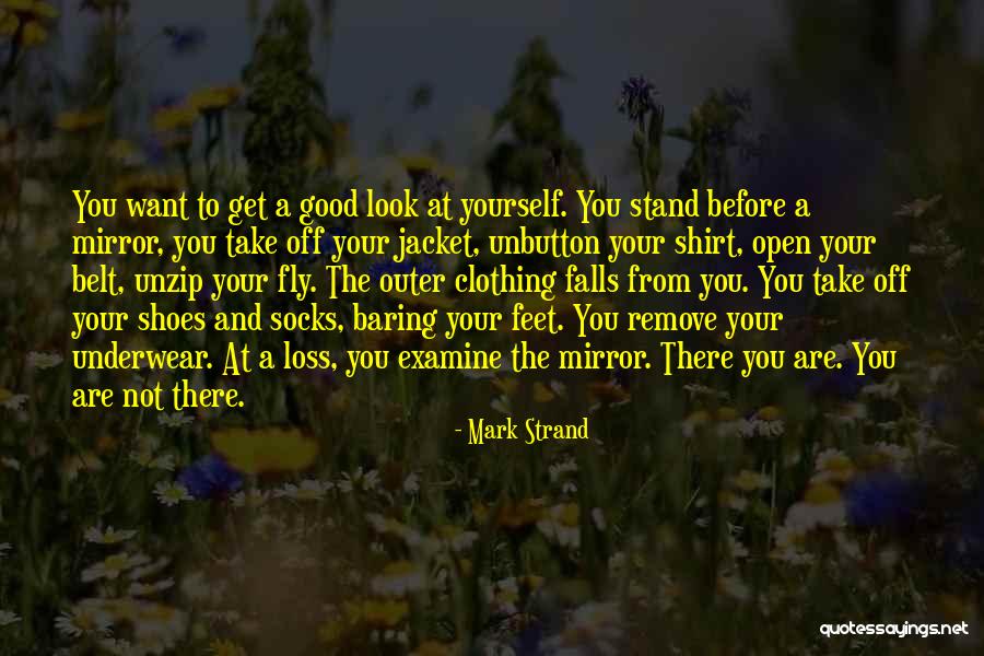 Take A Good Look In The Mirror Quotes By Mark Strand Take A Good Look In The Mirror Quotes By Mark Strand
