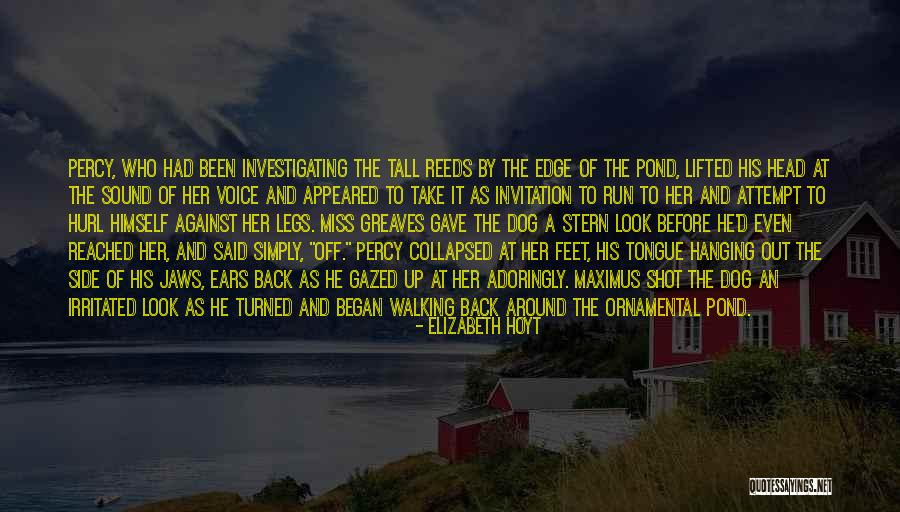 Take A Look Around Quotes By Elizabeth Hoyt Take A Look Around Quotes By Elizabeth Hoyt