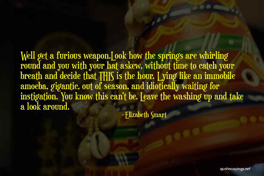 Take A Look Around Quotes By Elizabeth Smart Take A Look Around Quotes By Elizabeth Smart