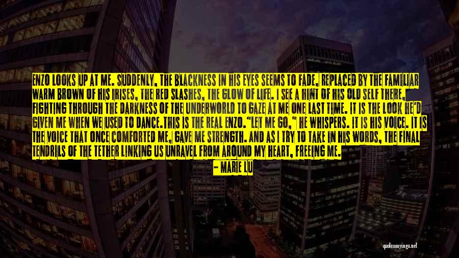 Take A Look Around Quotes By Marie Lu Take A Look Around Quotes By Marie Lu