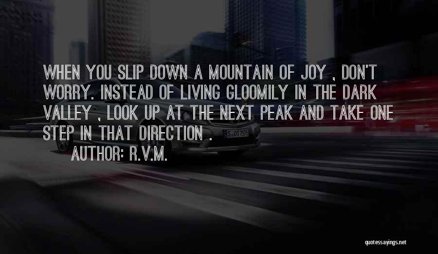 Take A Look At Life Quotes By R.v.m.