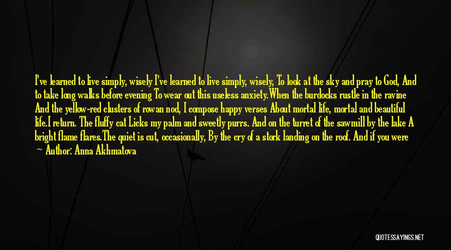 Take A Look At My Life Quotes By Anna Akhmatova