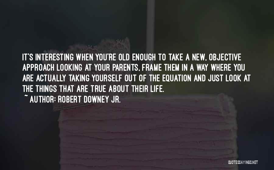 Take A Look At Yourself Quotes By Robert Downey Jr.