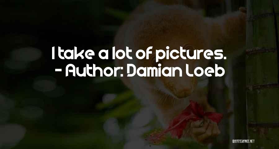 Take A Lot Of Pictures Quotes By Damian Loeb