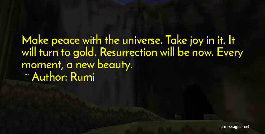 Take A Moment Quotes By Rumi