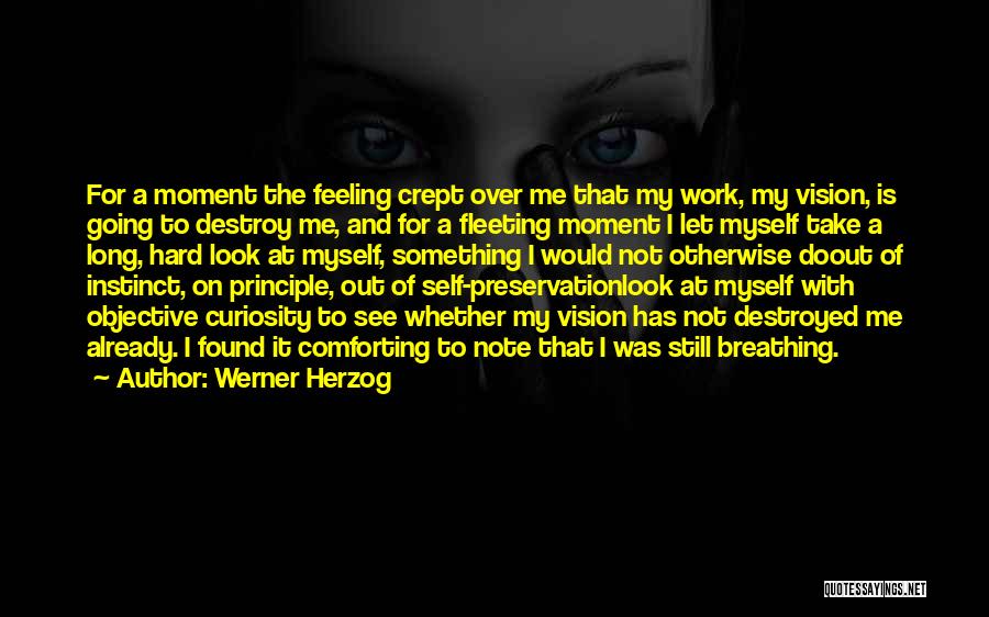 Take A Note Quotes By Werner Herzog