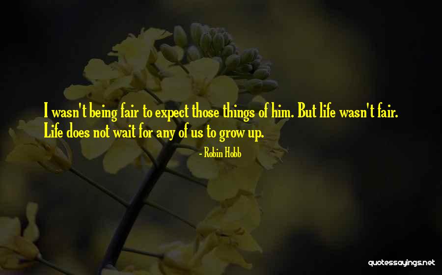 Take A Peek Quotes By Robin Hobb Take A Peek Quotes By Robin Hobb