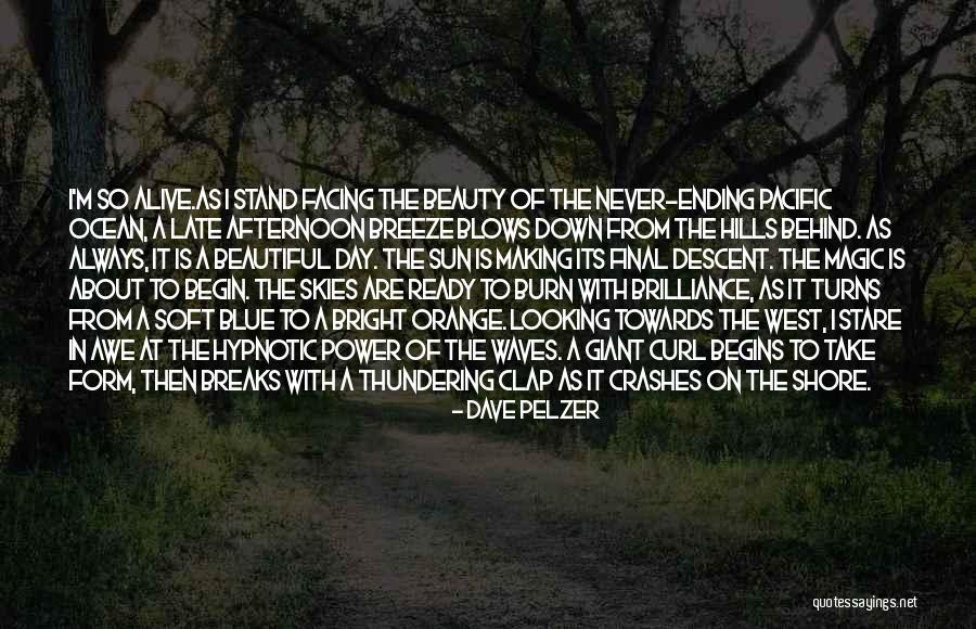 Take A Stand Quotes By Dave Pelzer Take A Stand Quotes By Dave Pelzer