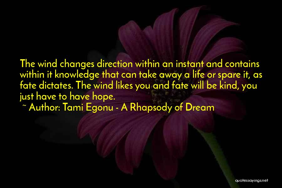Take Away Hope Quotes By Tami Egonu - A Rhapsody Of Dream