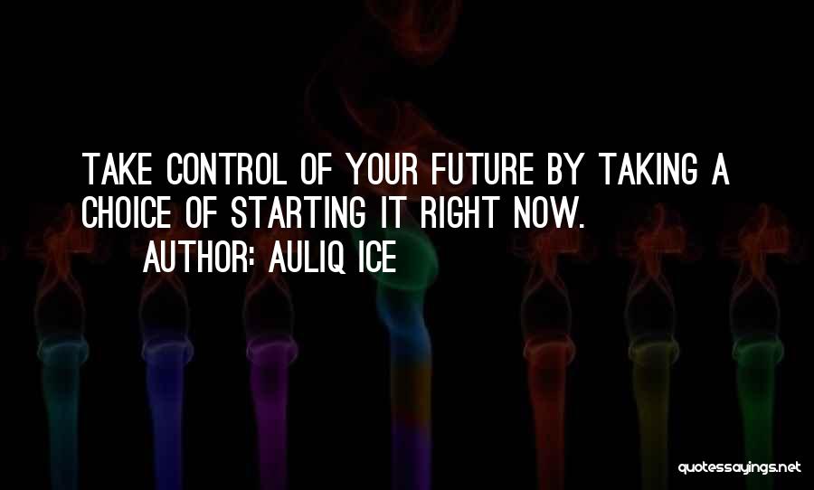 Take Control Of Your Future Quotes By Auliq Ice