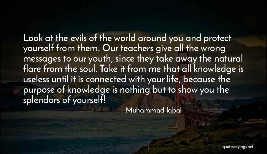 Take It All Away Quotes By Muhammad Iqbal