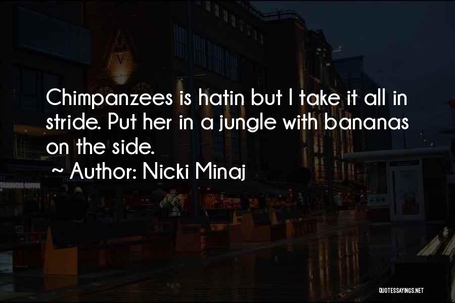 Take It In Stride Quotes By Nicki Minaj