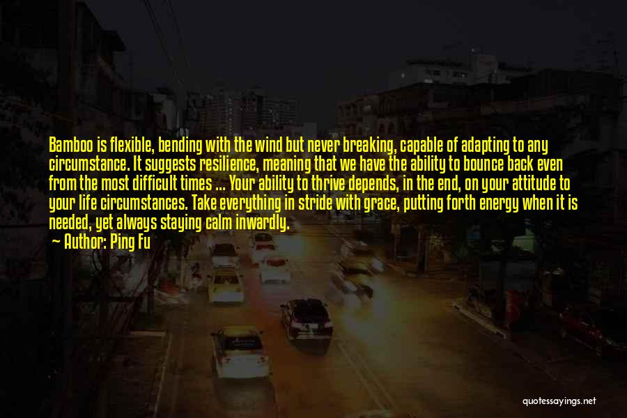 Take It In Stride Quotes By Ping Fu