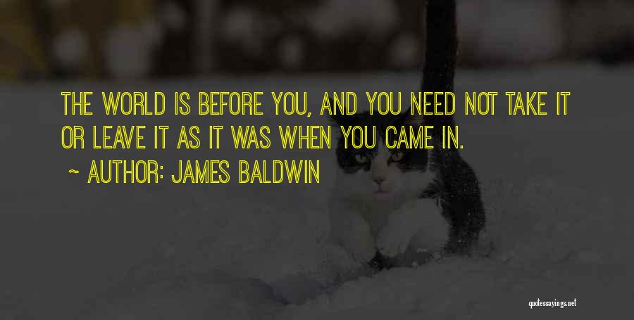 Take It Or Leave Quotes By James Baldwin