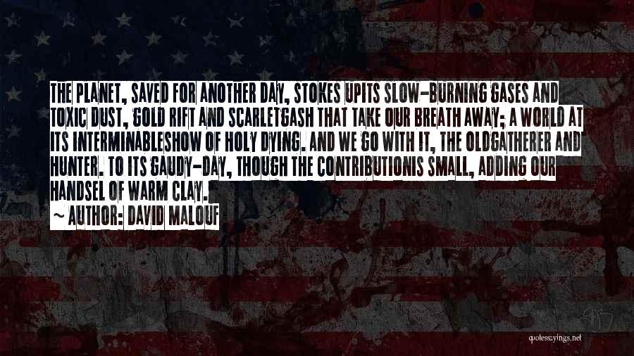 Take It Slow Quotes By David Malouf