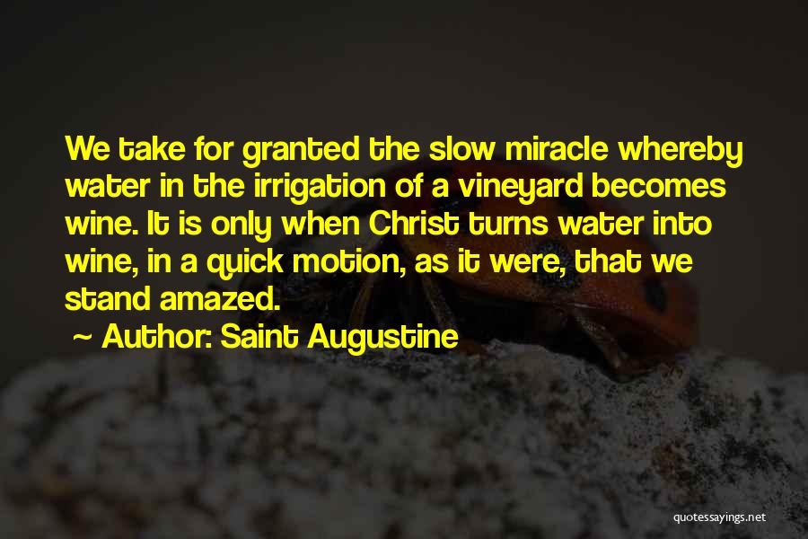 Take It Slow Quotes By Saint Augustine