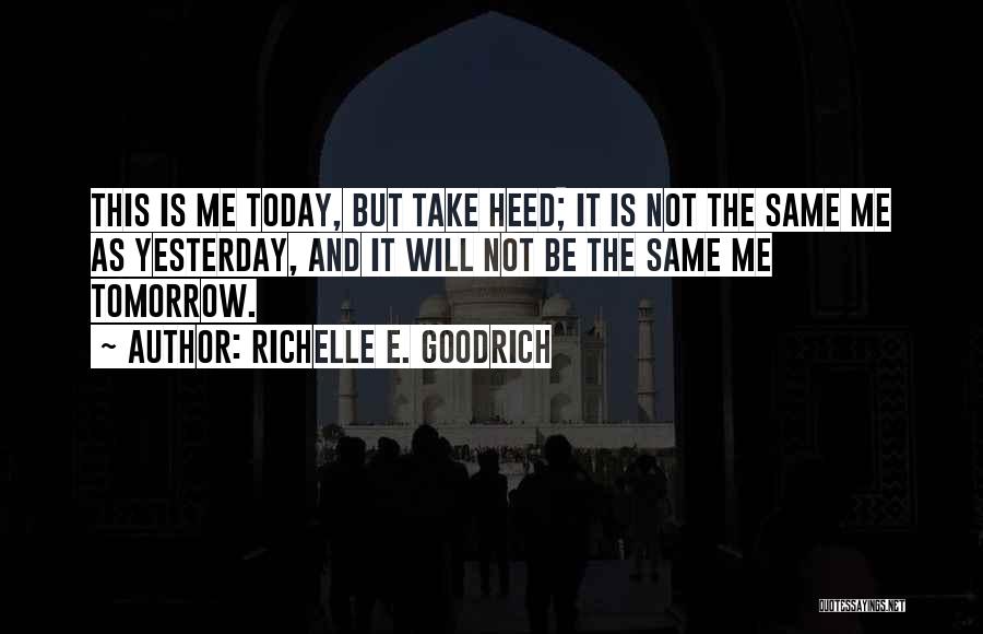 Take Me As I Am Quotes By Richelle E. Goodrich