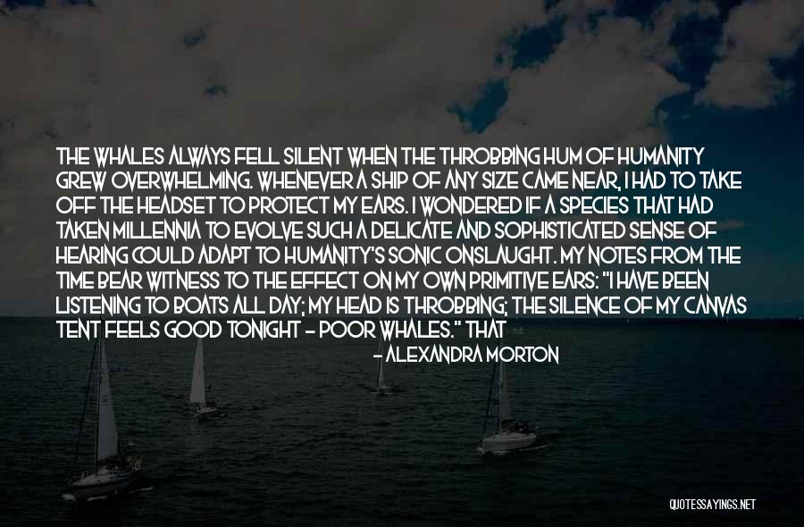 Take Me Out Tonight Quotes By Alexandra Morton Take Me Out Tonight Quotes By Alexandra Morton