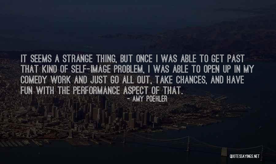 Take My Chances Quotes By Amy Poehler