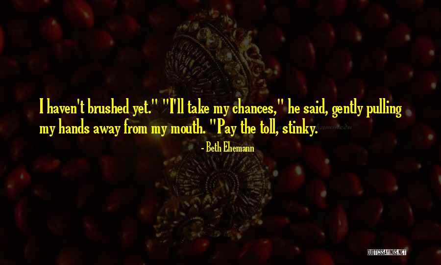 Take My Chances Quotes By Beth Ehemann