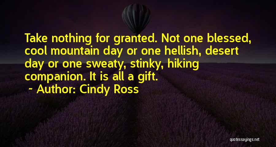 Take Nothing For Granted Quotes By Cindy Ross