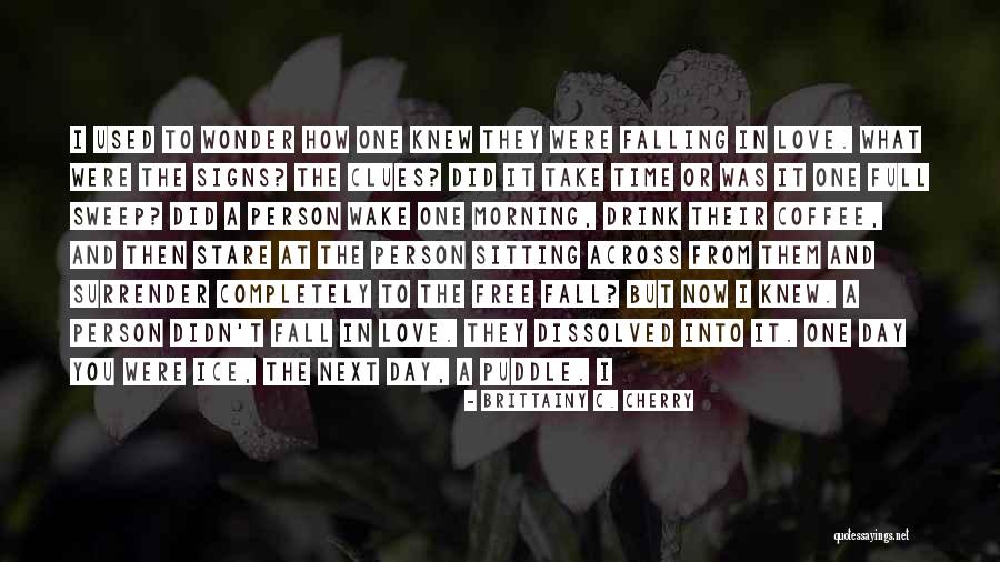 Take One Day At A Time Quotes By Brittainy C. Cherry