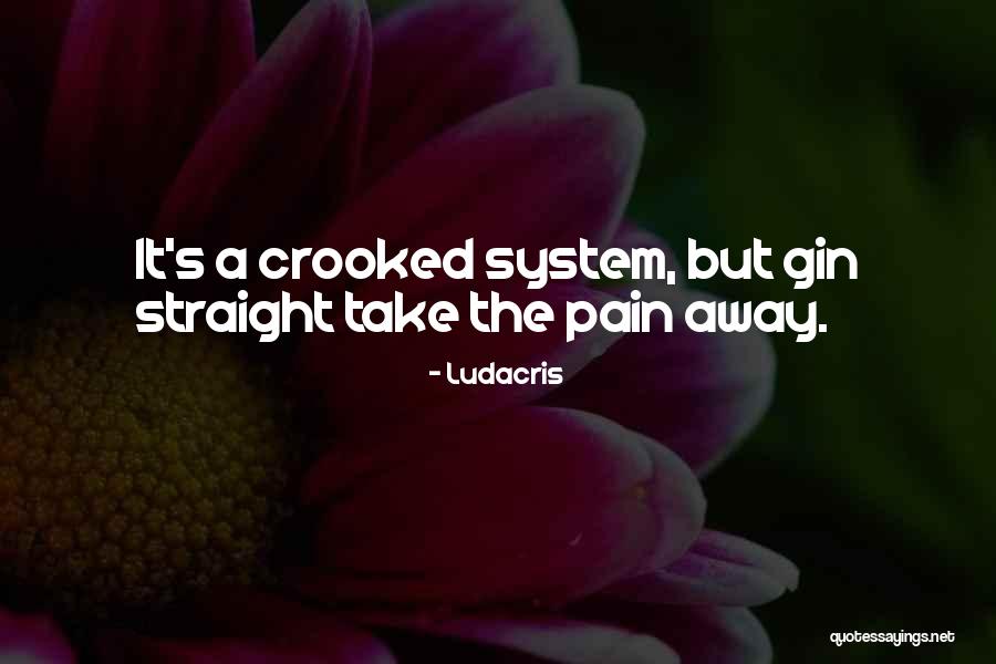 Take Pain Away Quotes By Ludacris