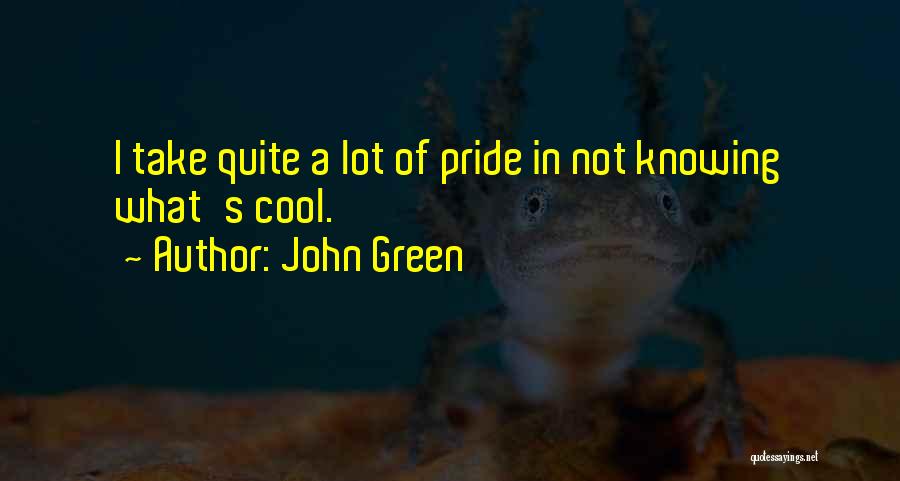 Take Pride In What You Have Quotes By John Green
