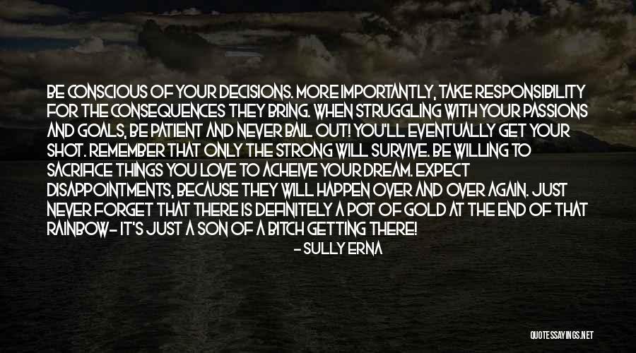 Take Responsibility For Your Decisions Quotes By Sully Erna