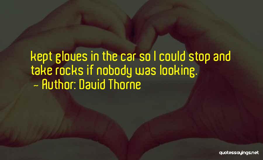 Take The Gloves Off Quotes By David Thorne