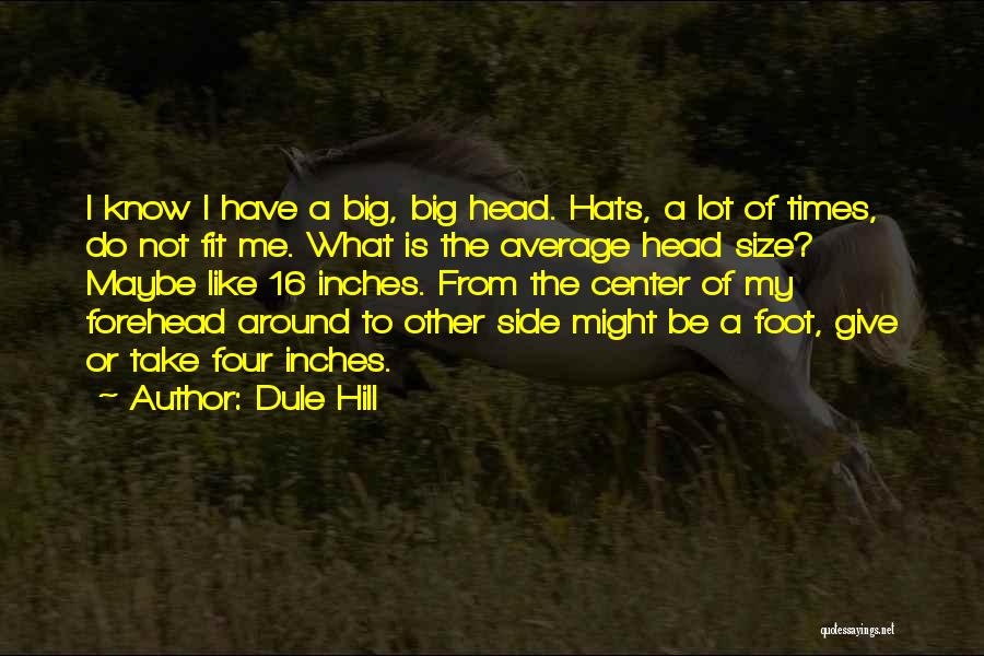 Take The Hill Quotes By Dule Hill