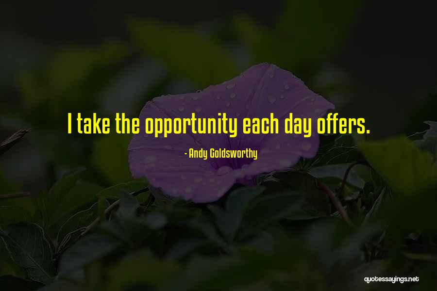 Take The Opportunity Quotes By Andy Goldsworthy