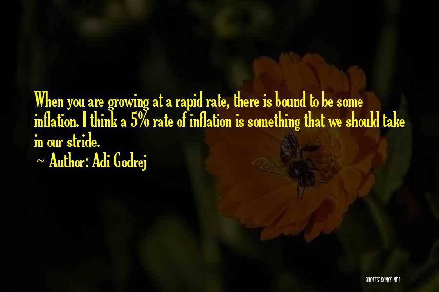 Take Things In Stride Quotes By Adi Godrej