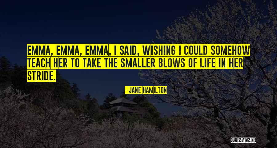Take Things With Stride Quotes By Jane Hamilton Take Things With Stride Quotes By Jane Hamilton