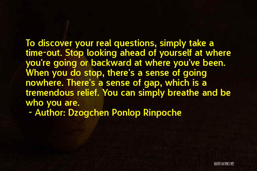 Take Time To Breathe Quotes By Dzogchen Ponlop Rinpoche
