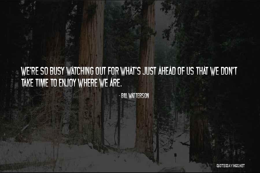 Take Time To Enjoy Life Quotes By Bill Watterson Take Time To Enjoy Life Quotes By Bill Watterson