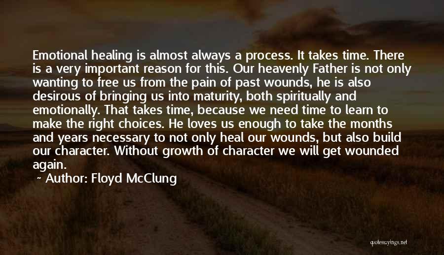 Take Time To Heal Quotes By Floyd McClung