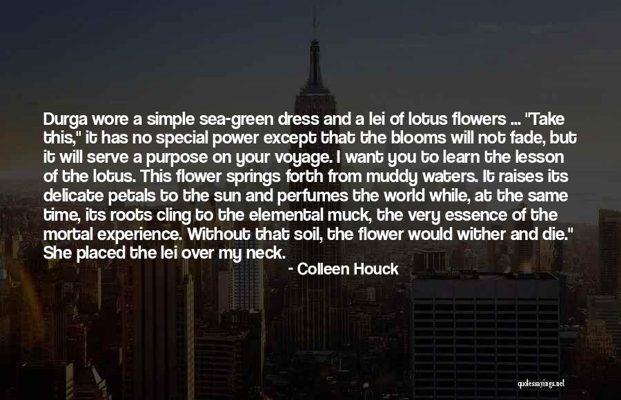 Take Time To Learn Quotes By Colleen Houck Take Time To Learn Quotes By Colleen Houck