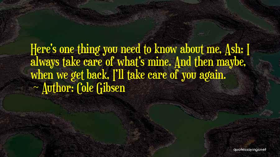 Take What You Need Quotes By Cole Gibsen