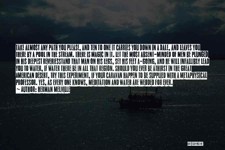 Take Your Man Quotes By Herman Melville