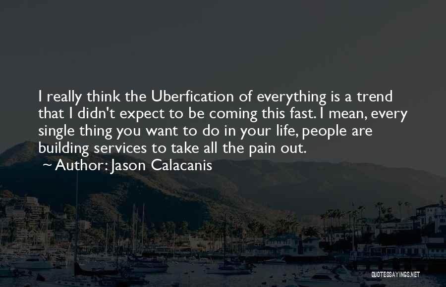 Take Your Pain Quotes By Jason Calacanis