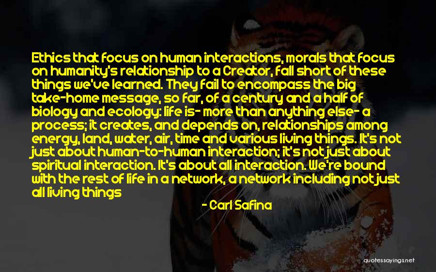 Take Your Time In Relationship Quotes By Carl Safina Take Your Time In Relationship Quotes By Carl Safina