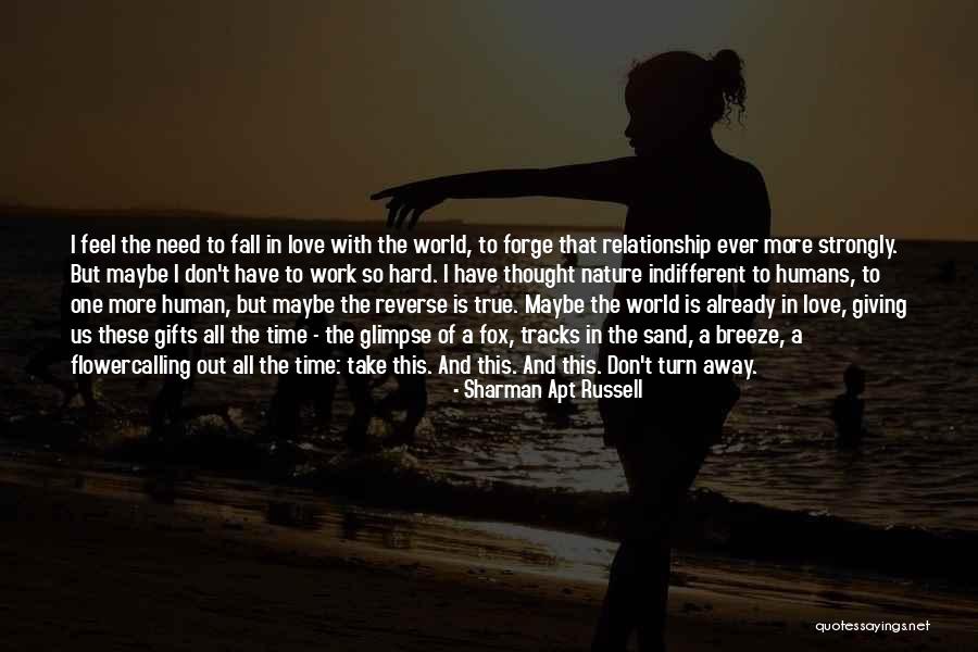 Take Your Time In Relationship Quotes By Sharman Apt Russell Take Your Time In Relationship Quotes By Sharman Apt Russell