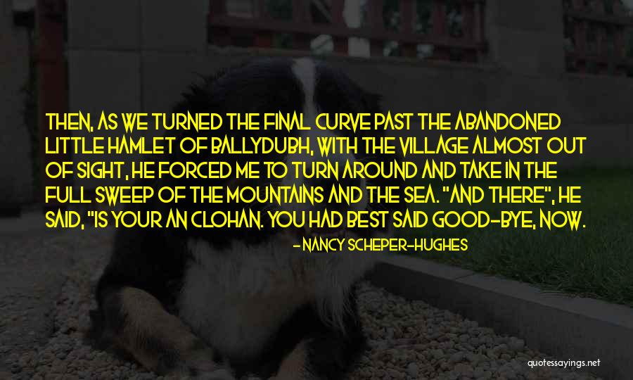 Take Your Turn Quotes By Nancy Scheper-Hughes Take Your Turn Quotes By Nancy Scheper-Hughes