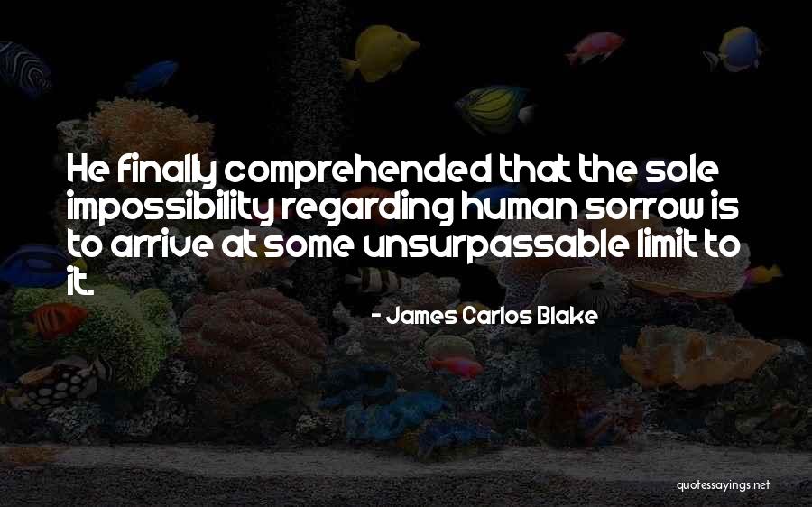 Takeoffs Sfo Quotes By James Carlos Blake Takeoffs Sfo Quotes By James Carlos Blake