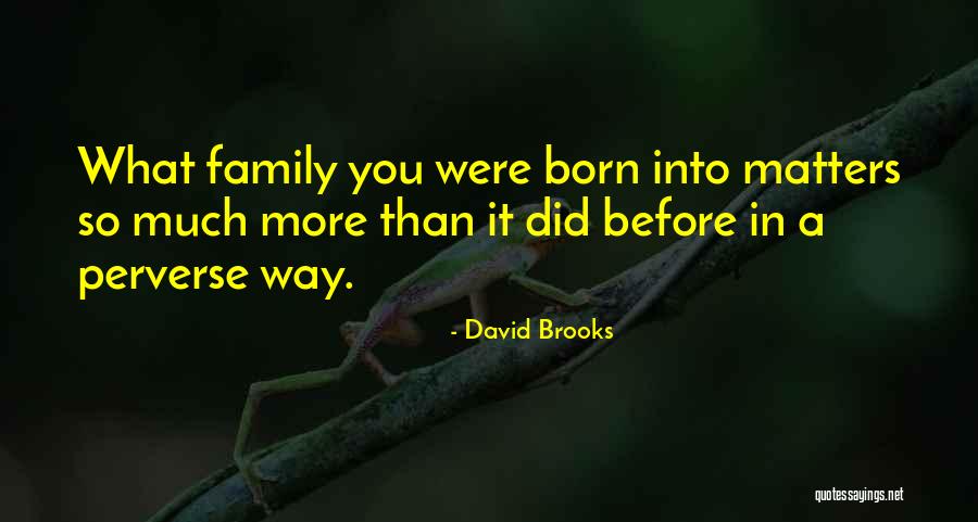 Takeru Takaishi Quotes By David Brooks