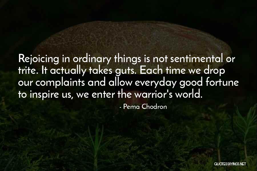 Takes Guts Quotes By Pema Chodron Takes Guts Quotes By Pema Chodron
