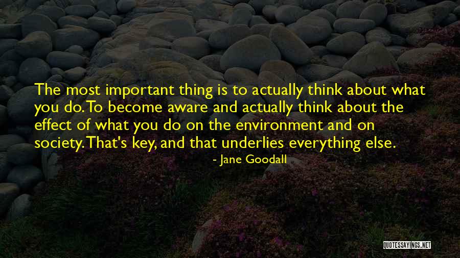 Taketsuna Hot Quotes By Jane Goodall Taketsuna Hot Quotes By Jane Goodall
