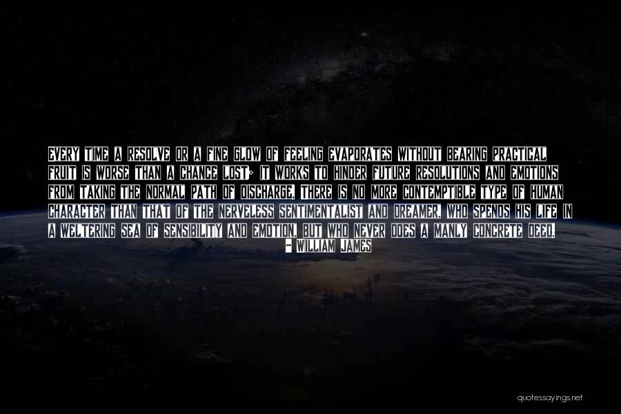 Taking A Chance On Life Quotes By William James Taking A Chance On Life Quotes By William James