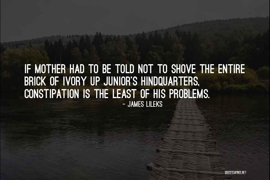 Taking A Knee Quotes By James Lileks Taking A Knee Quotes By James Lileks